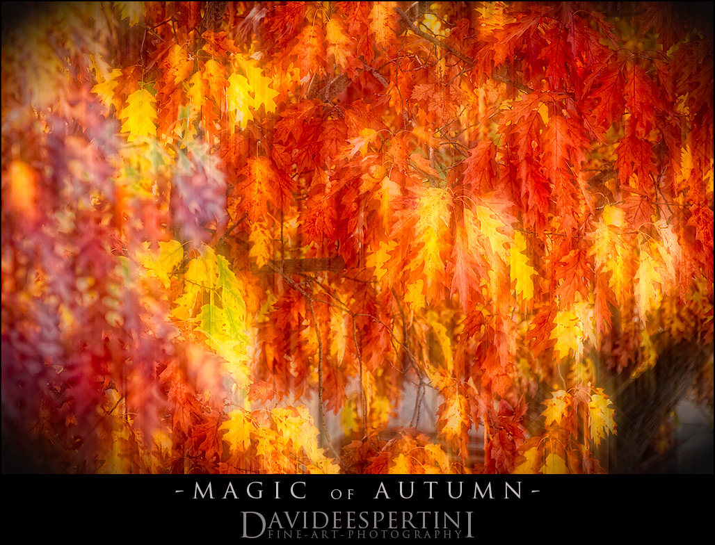 ::MAGICofAUTUMN::