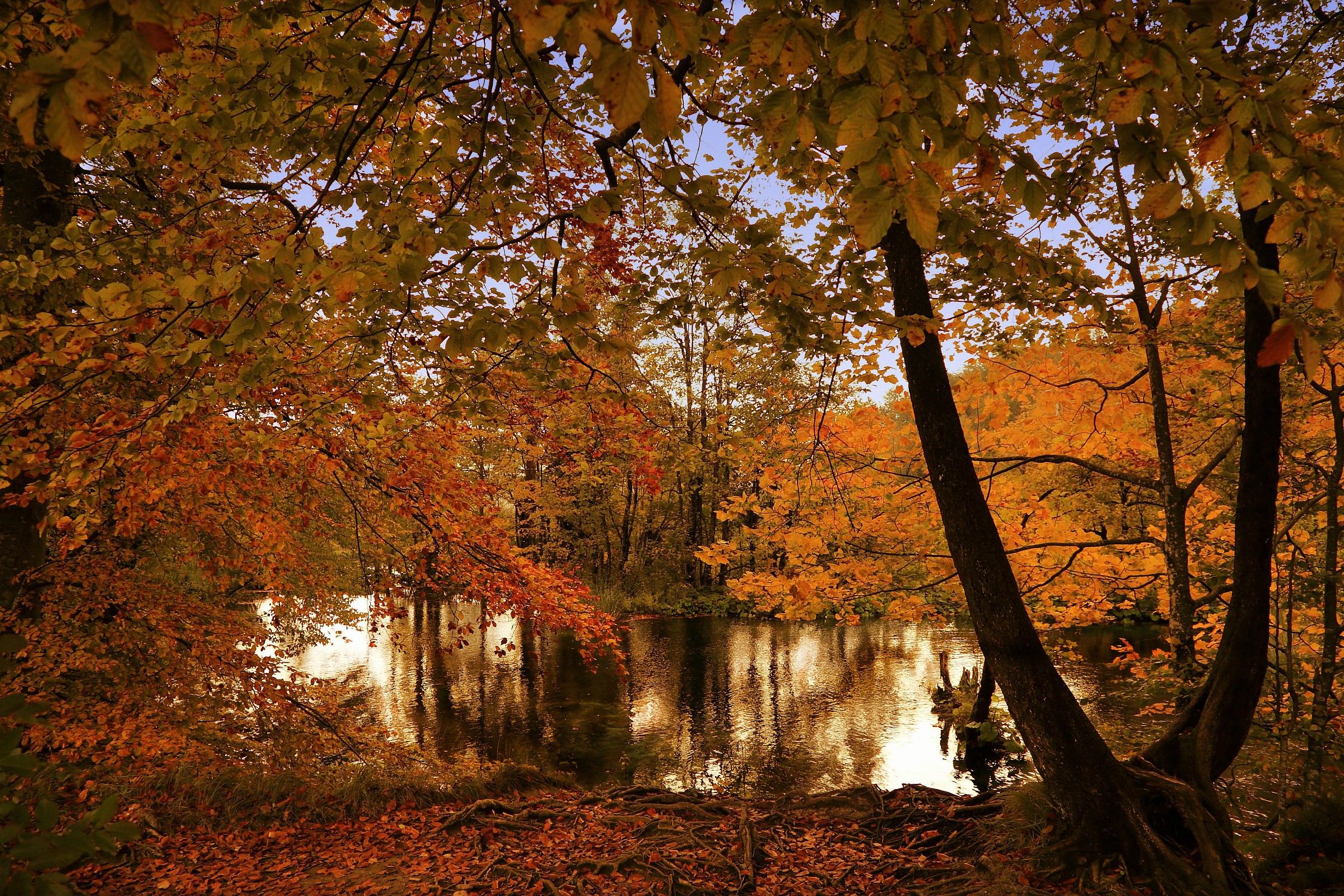 toni caldi d' autunno