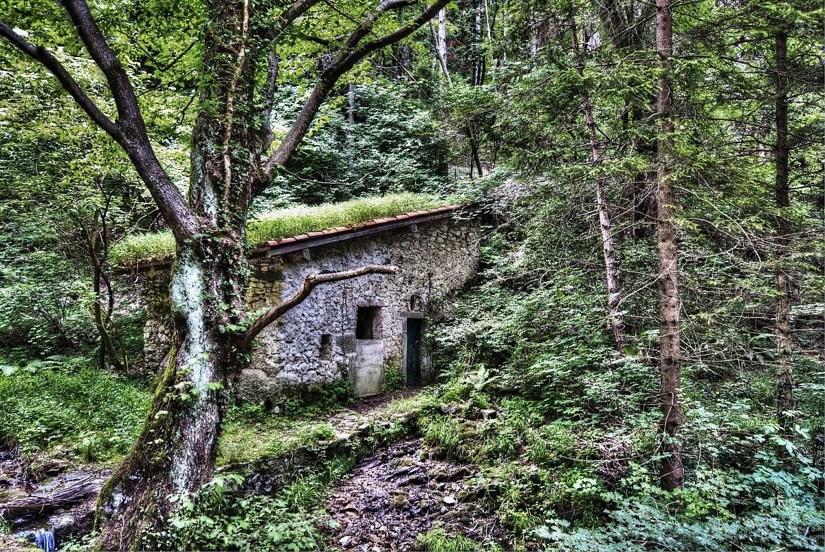 La casa nel bosco