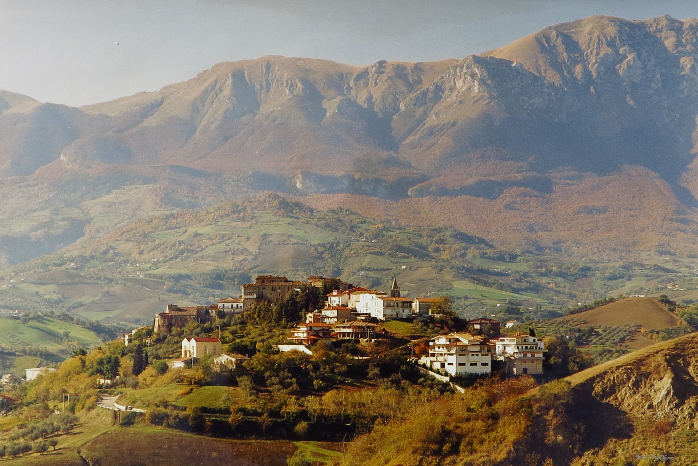 Pellicola medio formato.