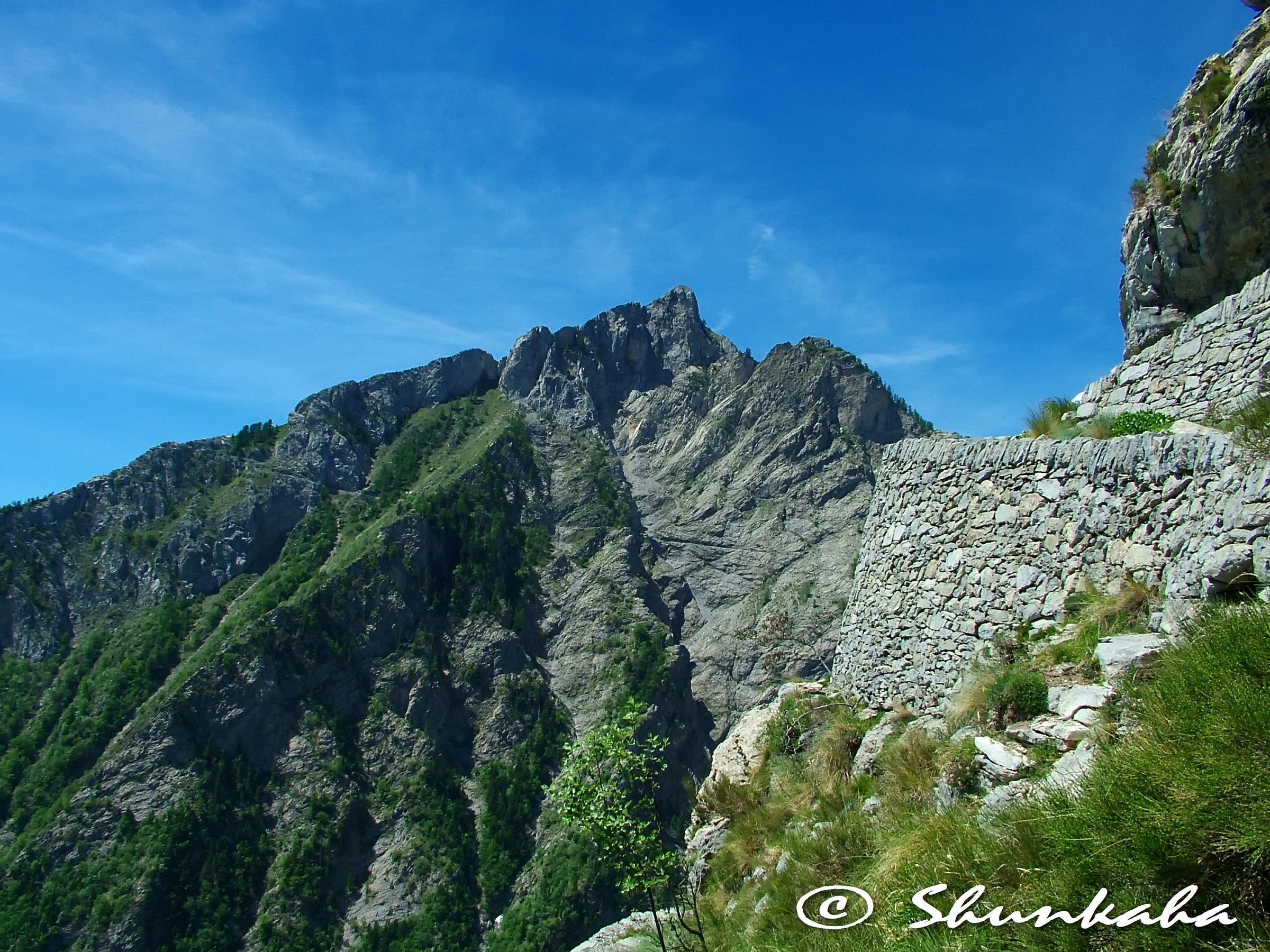 Monte Toraggio 1938 m slm - Alpi Liguri