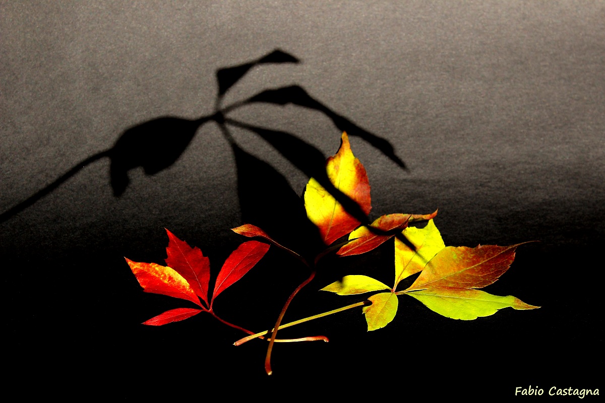 L'Autunno e l'ombra dell'Inverno