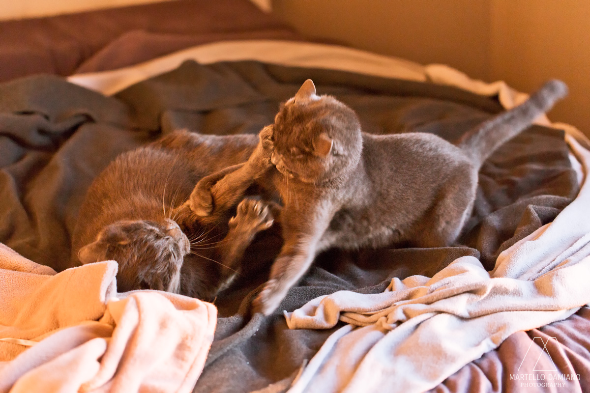 Discussione in famiglia!