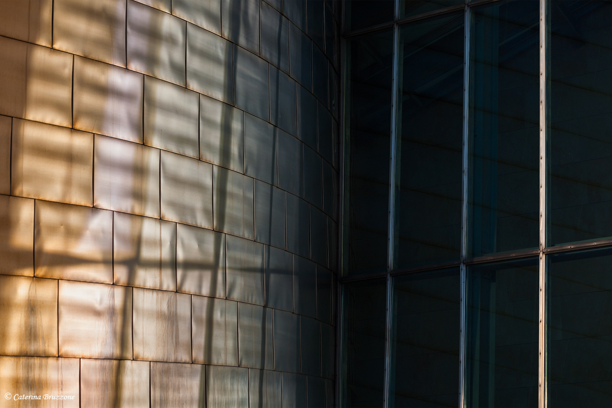 Shadows and reflections