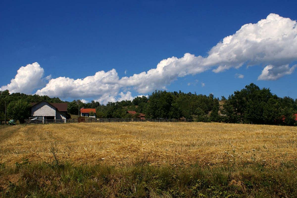 Fields and clouds long