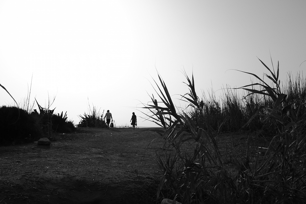 Isola delle correnti