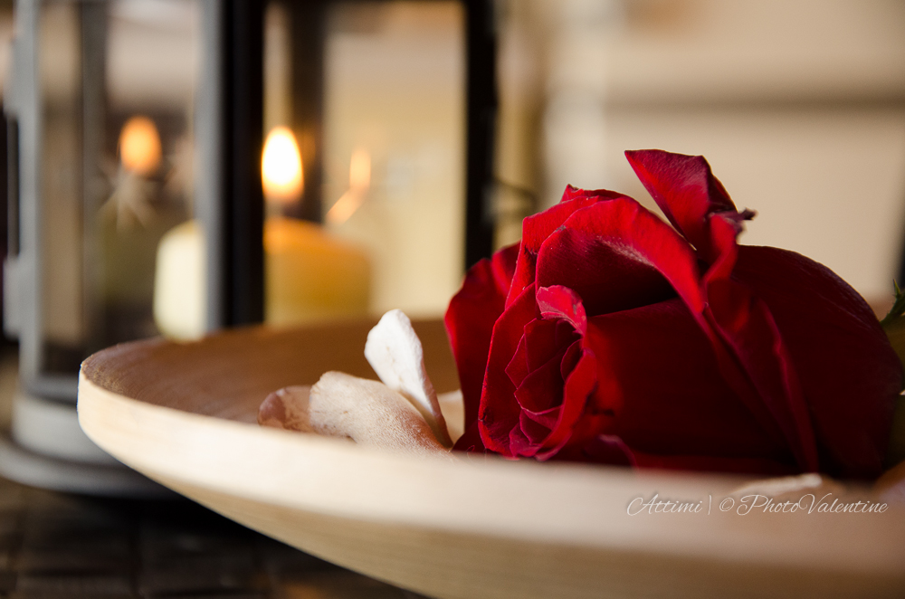 give yourself a flower PhotoValentine