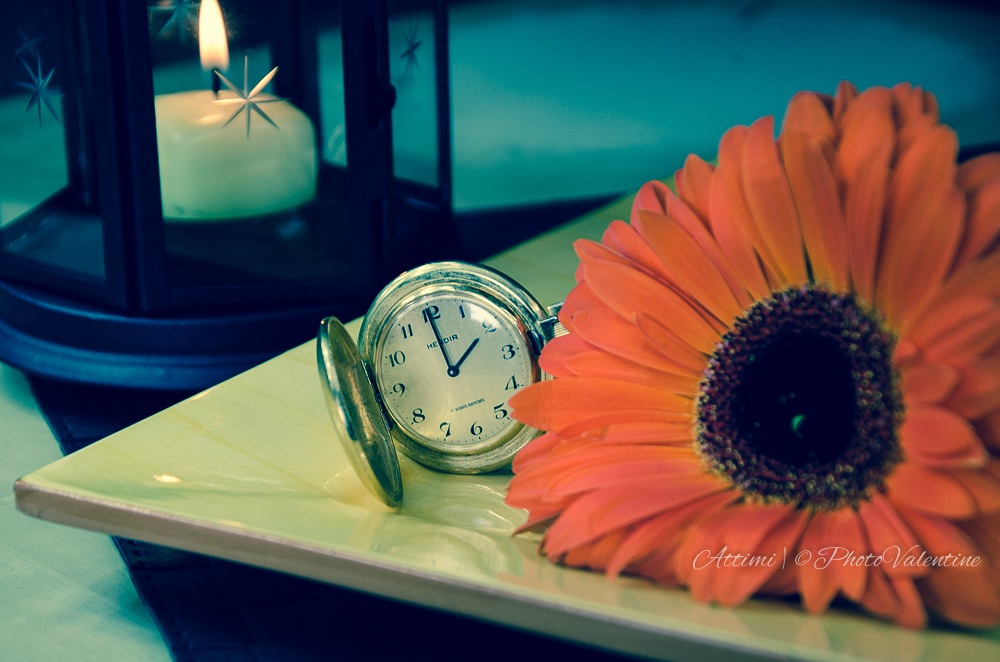 give yourself a flower PhotoValentine