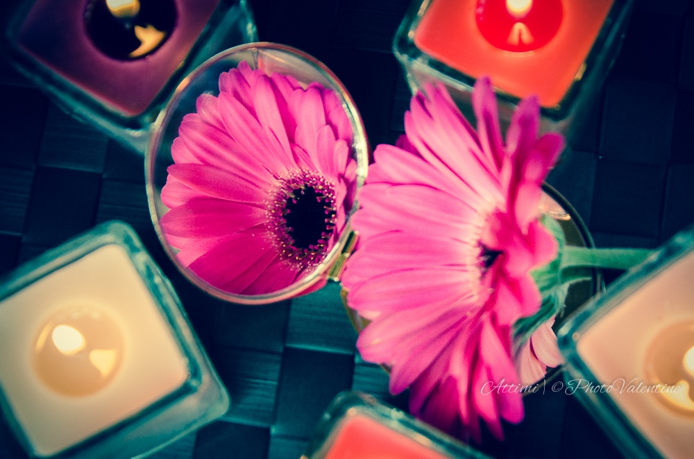 give yourself a flower PhotoValentine