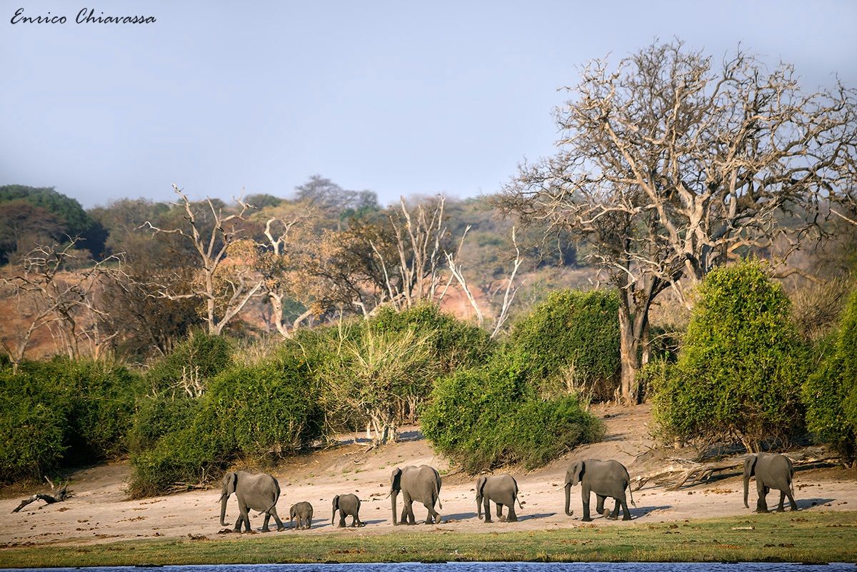 Grandi...eppure piccoli!