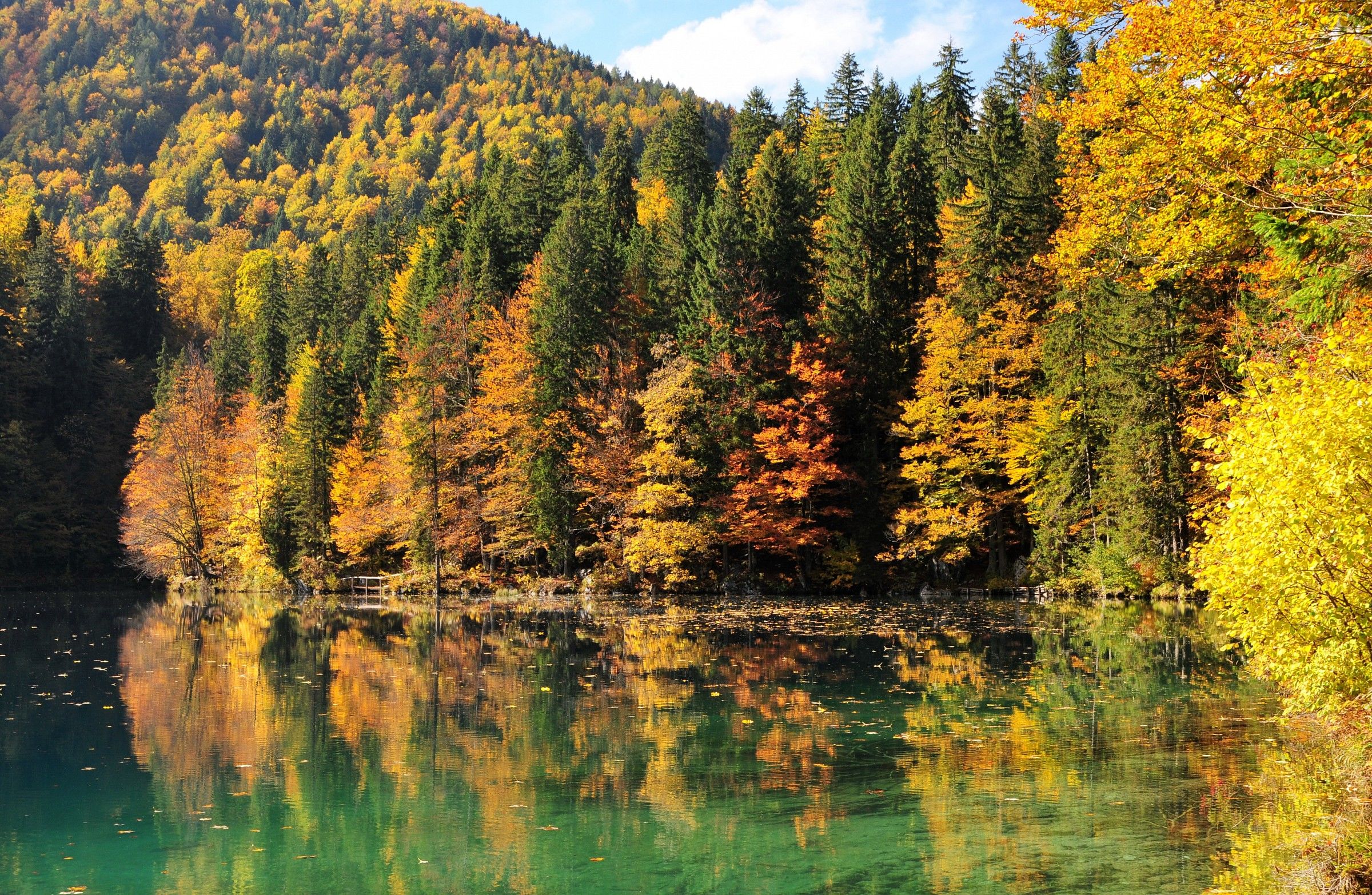 Autunno e i suoi colori