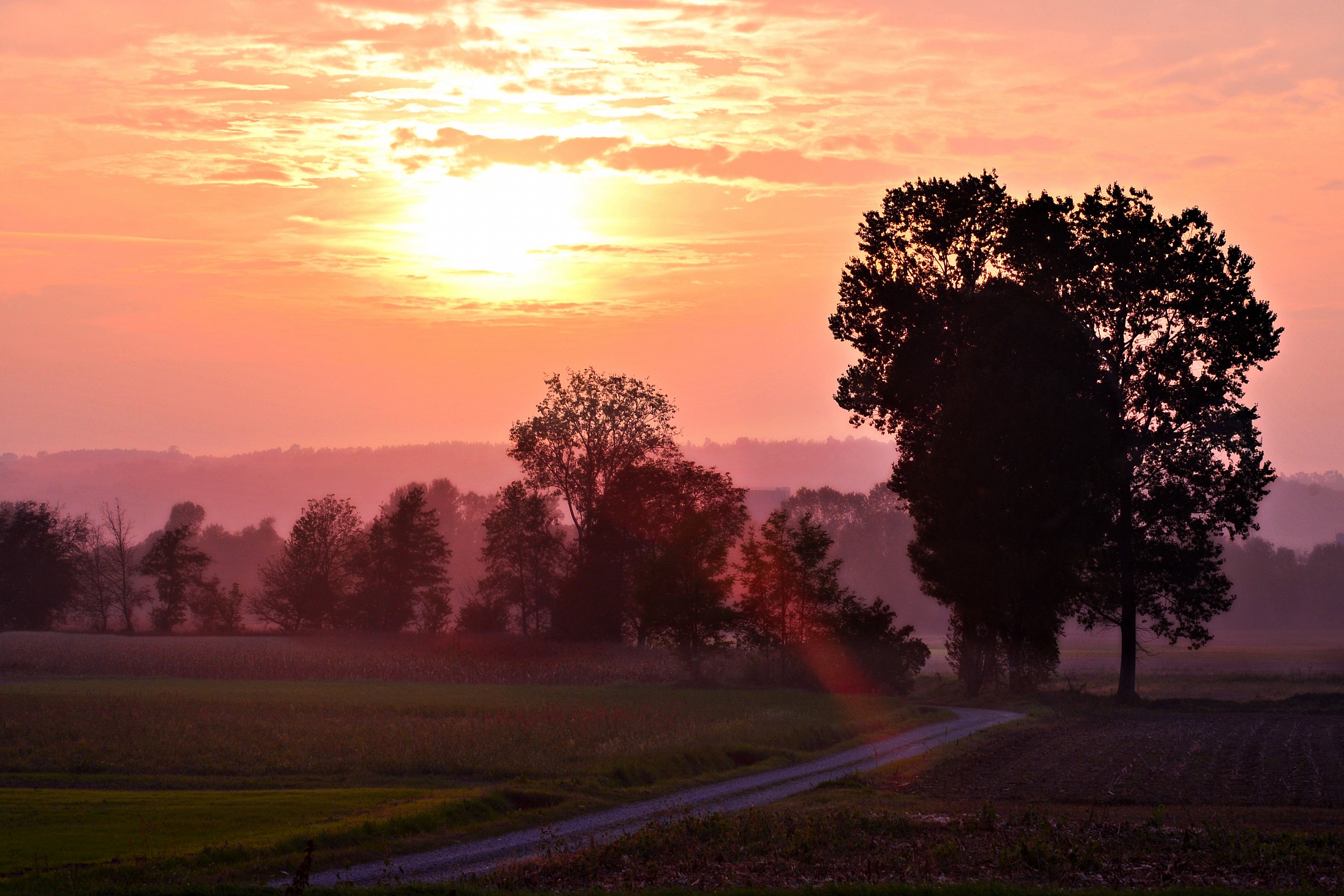 watercolor from home