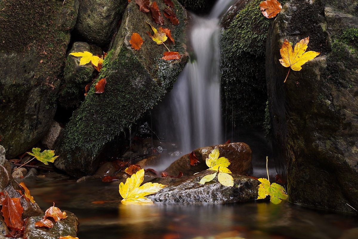 Acqua fonte di vita....