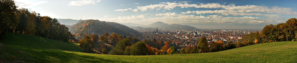 Freiburg im Breisgau