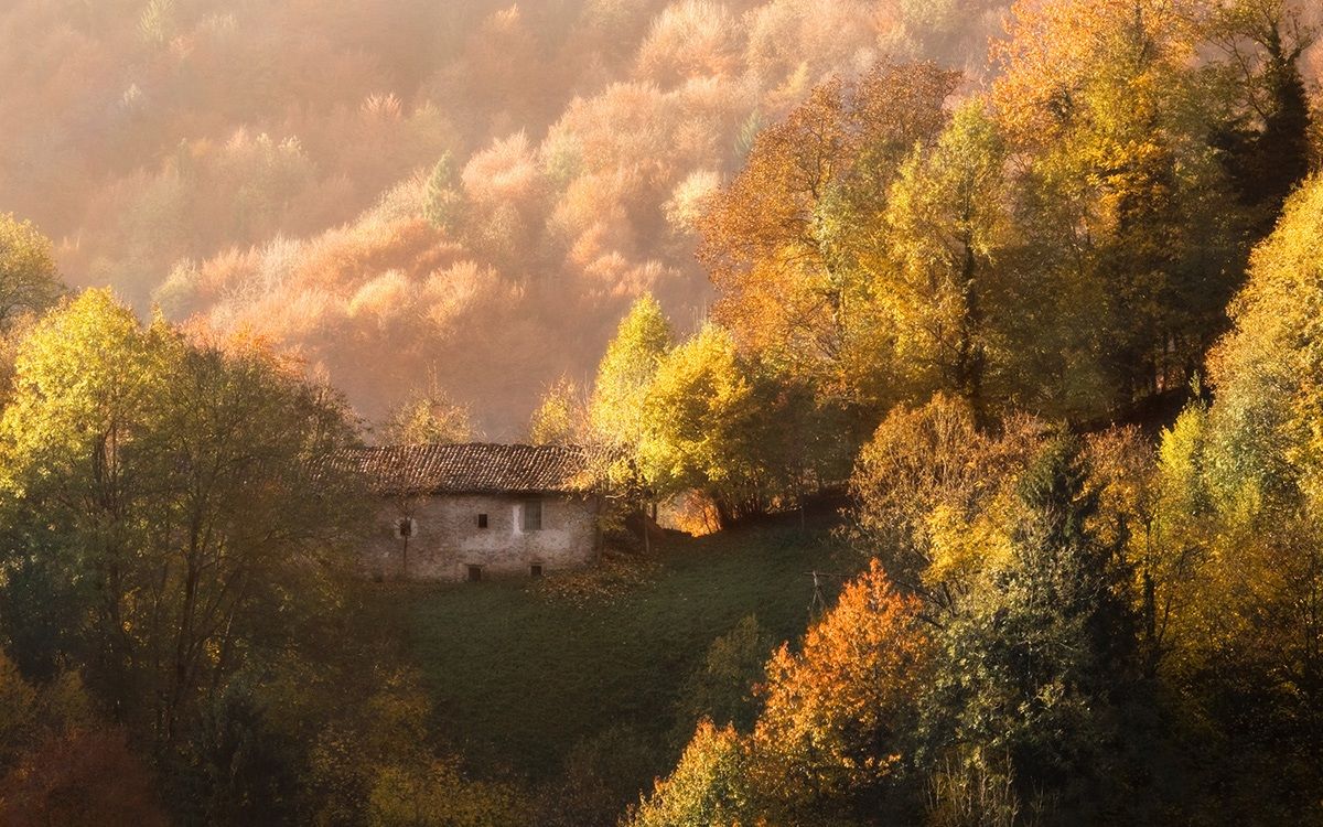Autumn in the valley of Rice