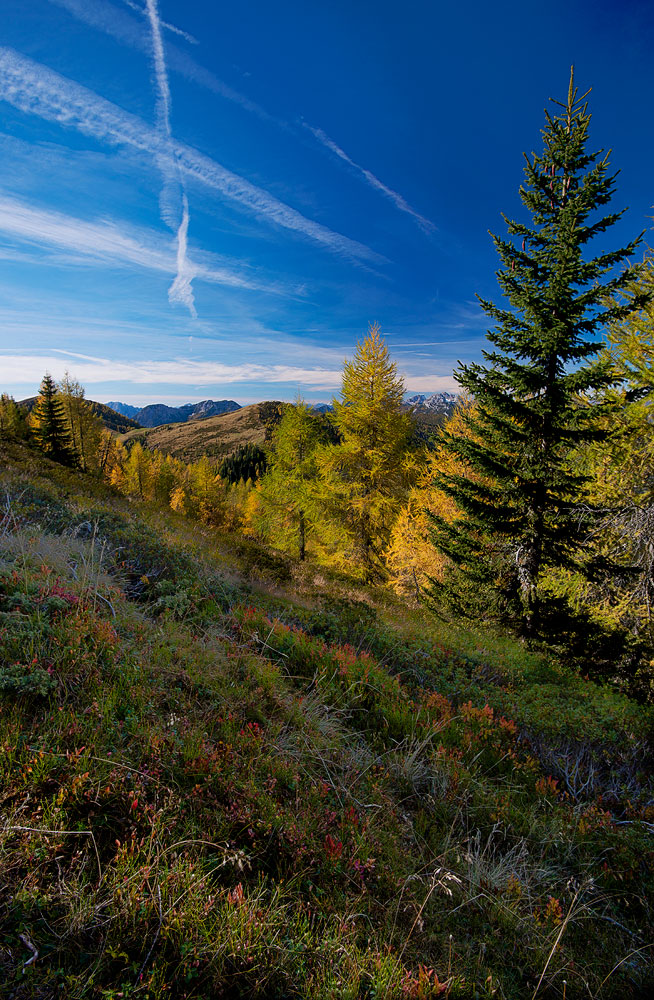 Monte-Sagran Julian Alps.