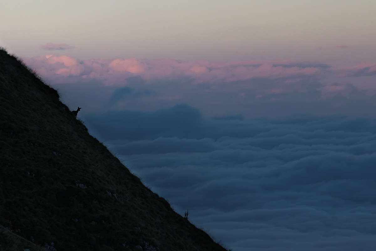 Above a sea of ??clouds