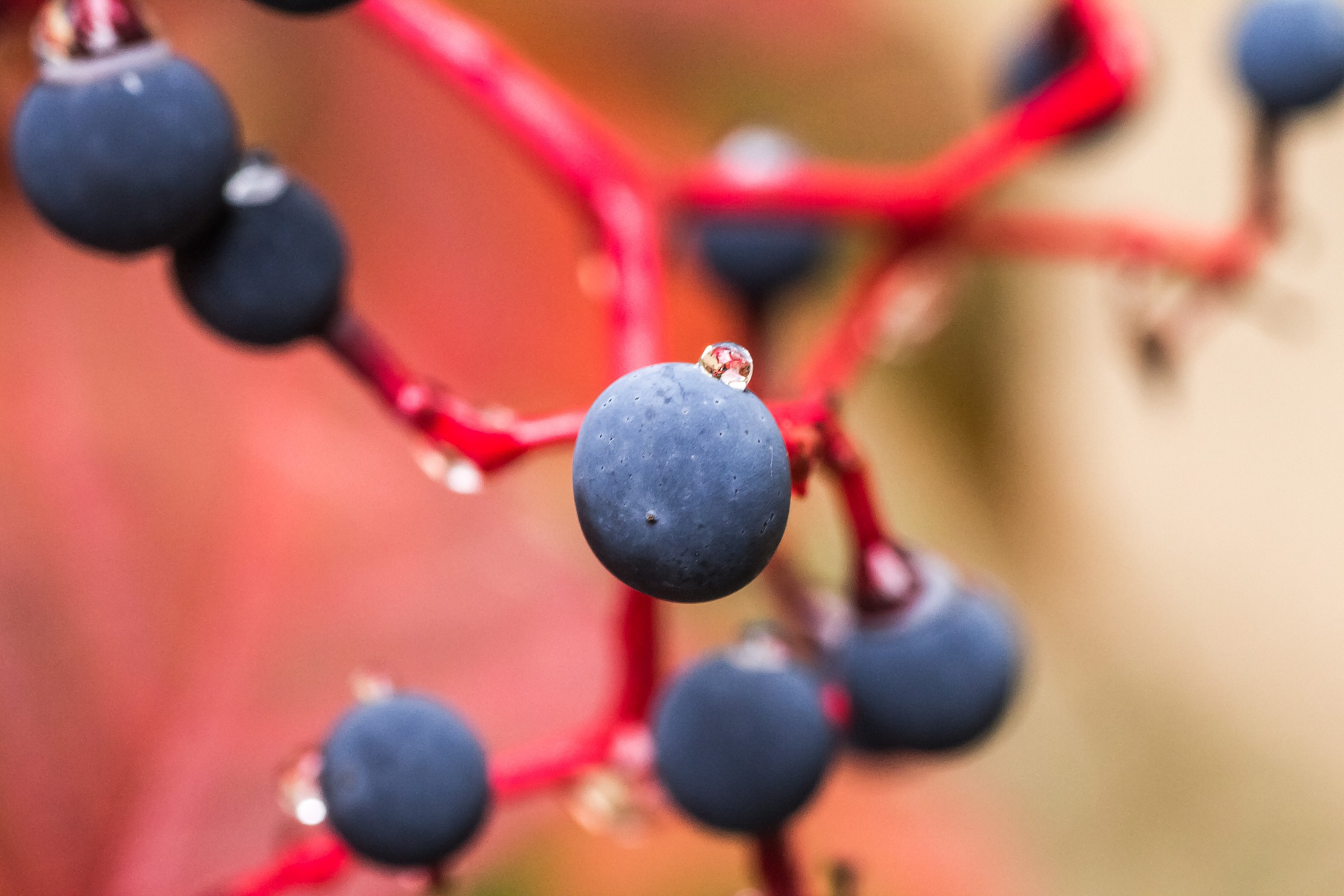 Droplet in the balance