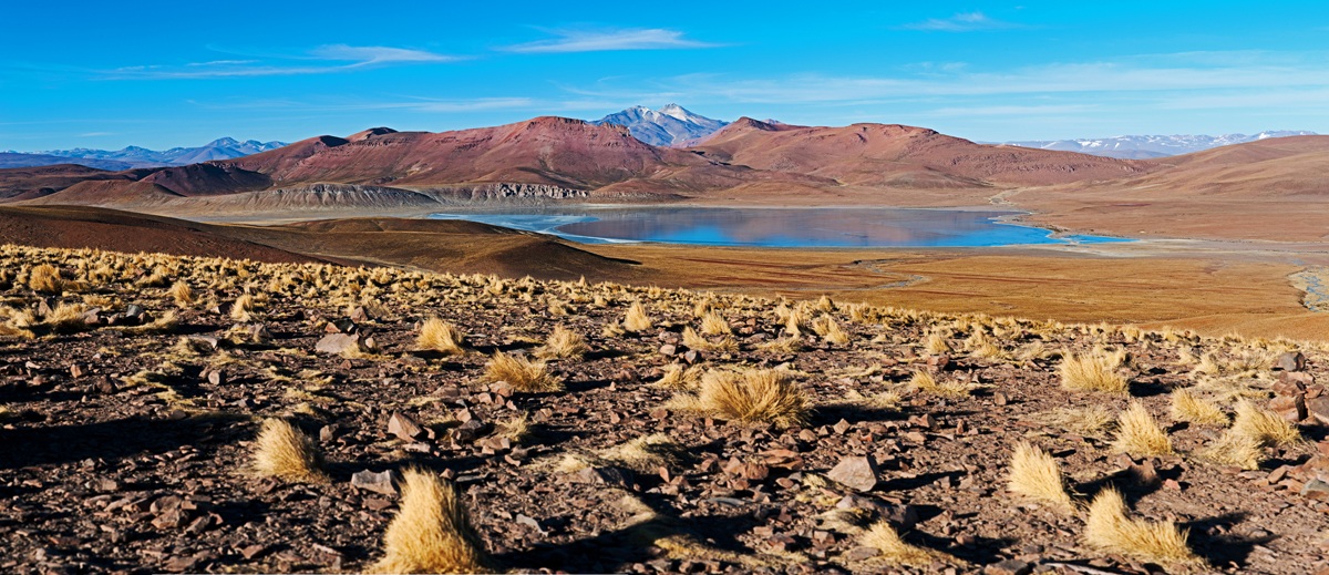 Bolivia - Laguna Hedionda Sud