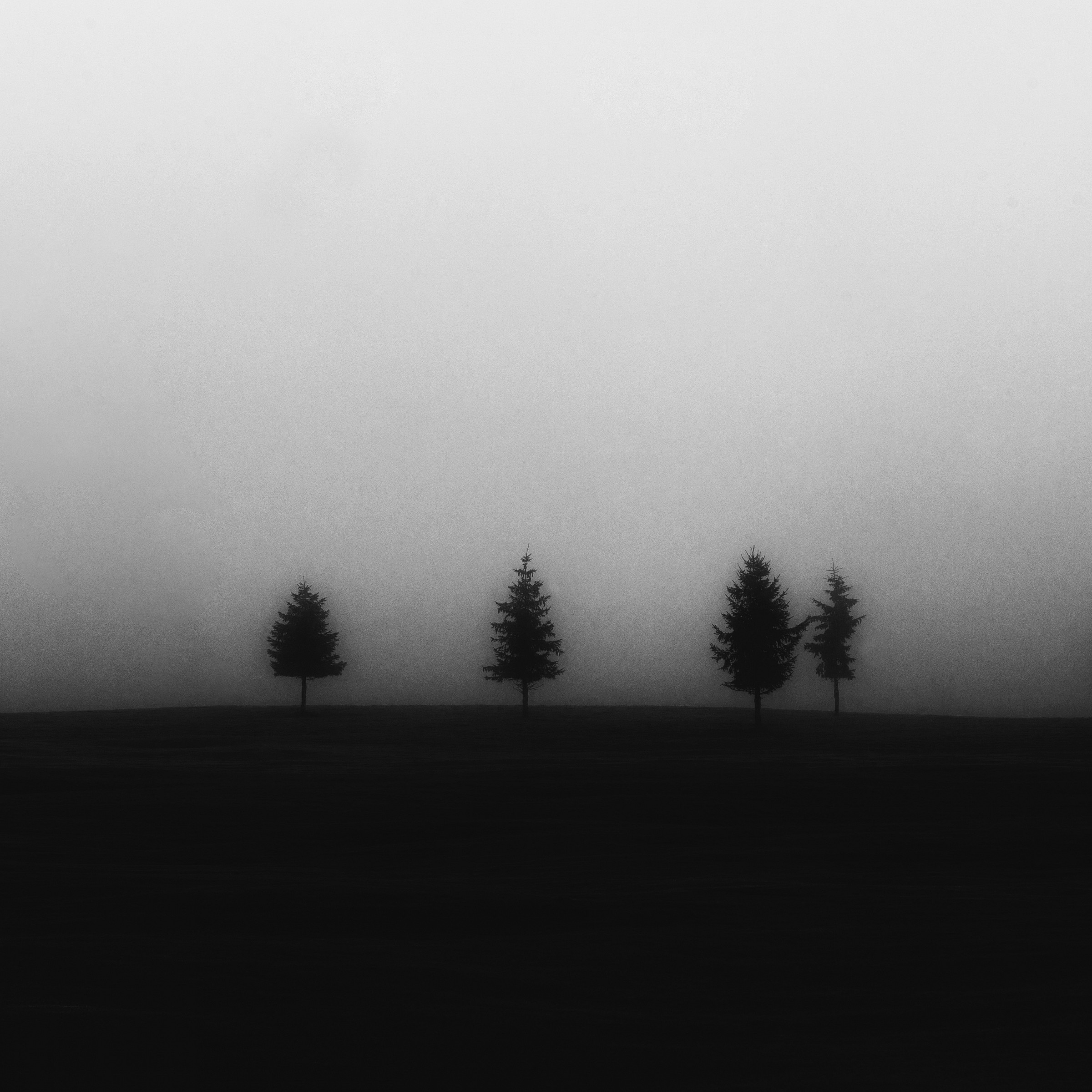 Cansiglio ottobre 2013