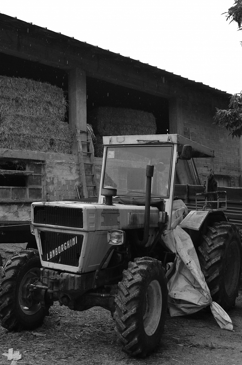 always does his figure an engine lamborghini