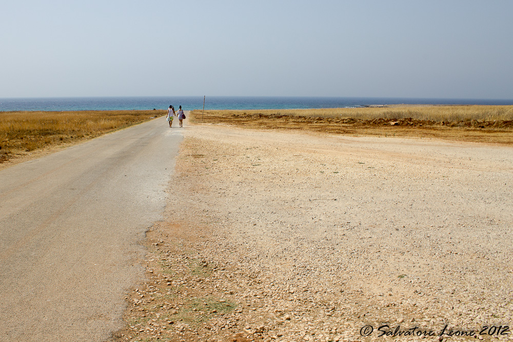 Long road to the sea