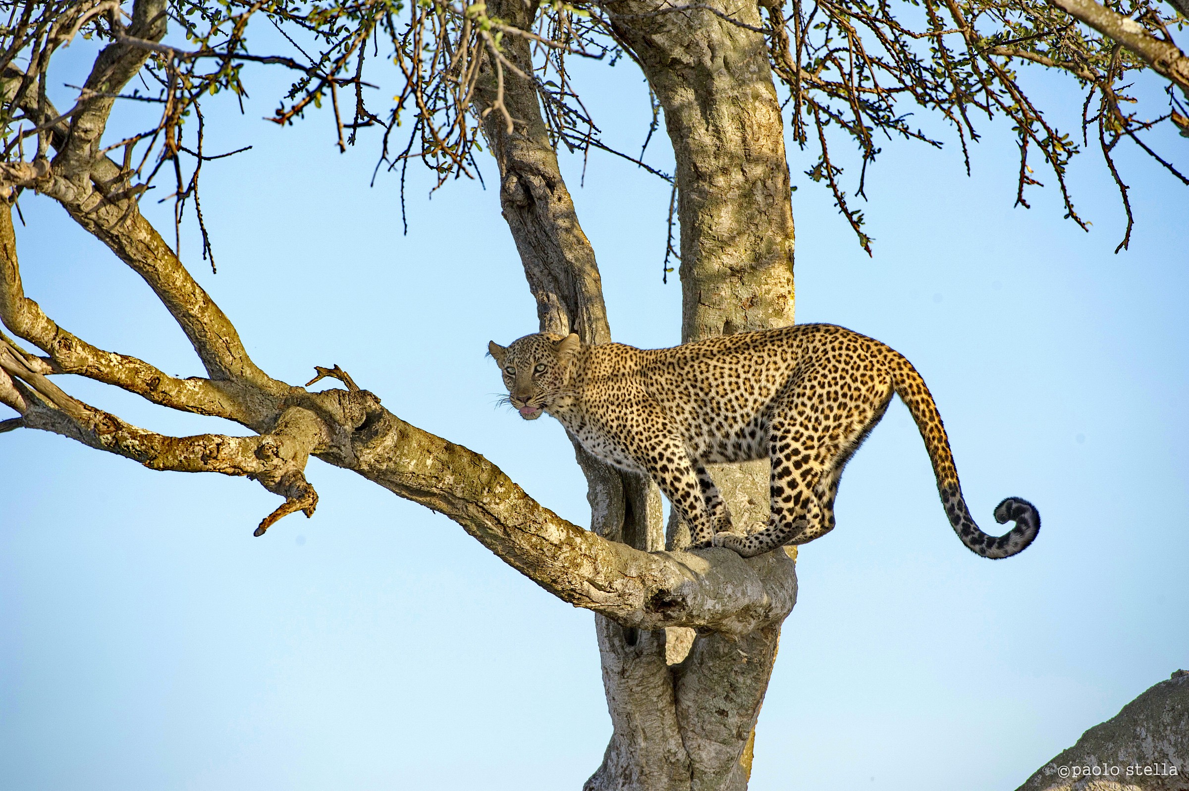 posing a bit unstable ....