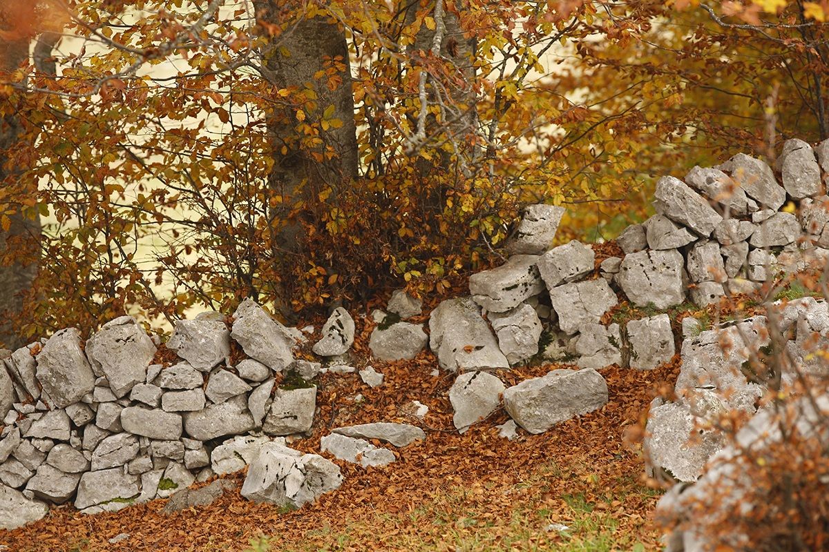 Tratturo: autumn particular