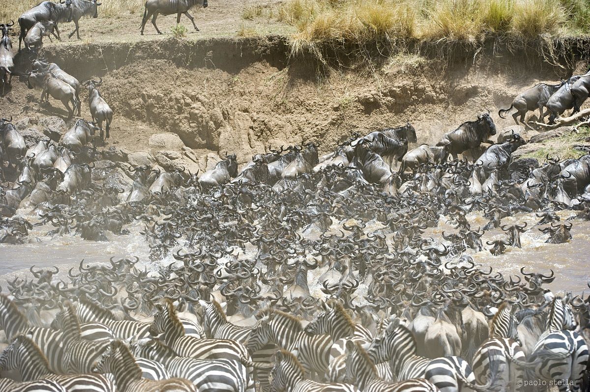 the strength of the group