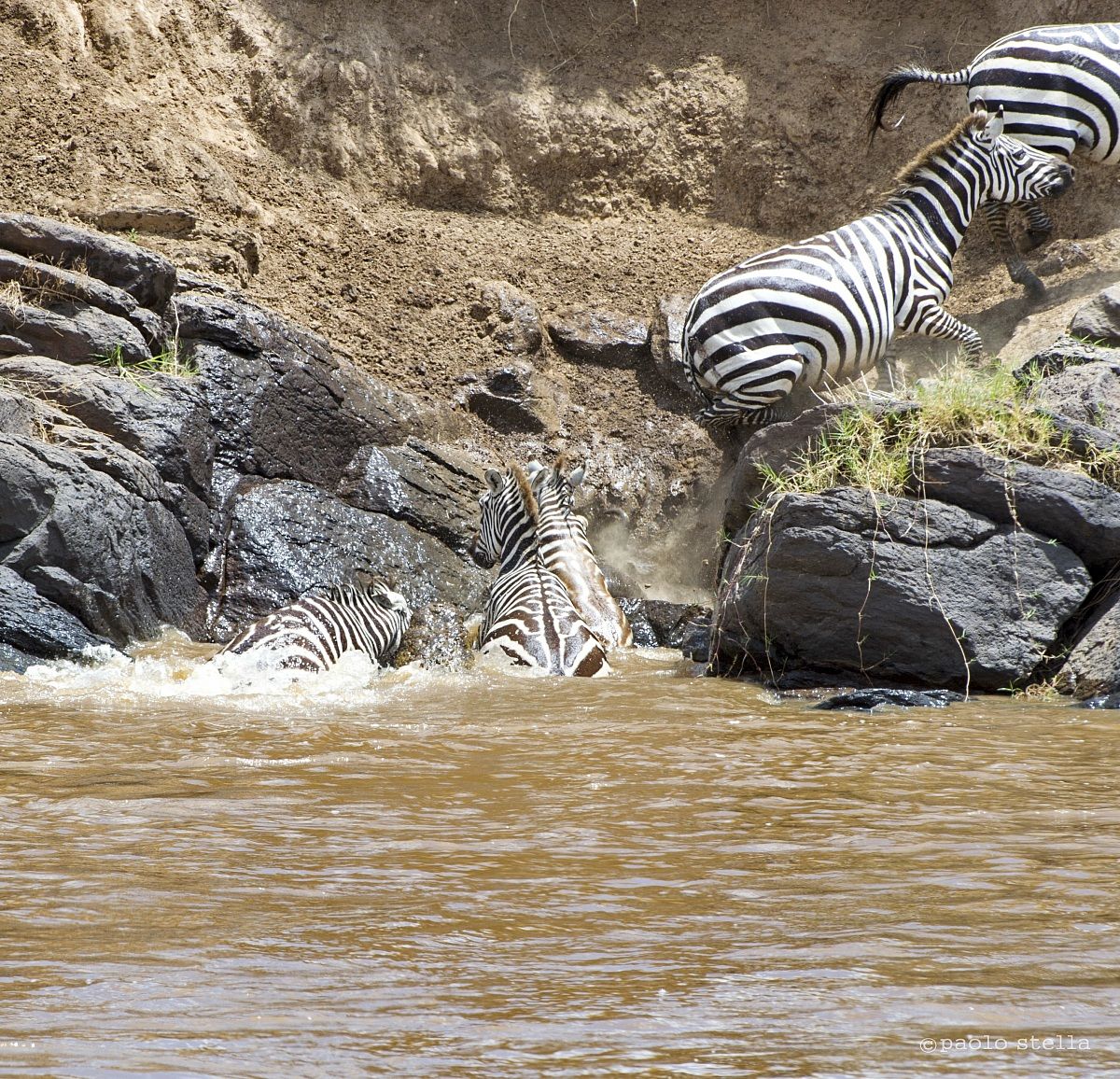 crossing the Mara - 11 - the monster strikes ....