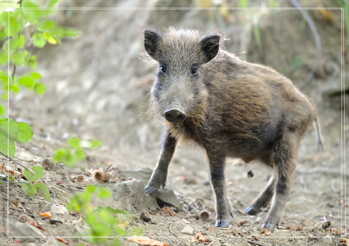 soloio sololui  ci spostiamo viviamo.. lui+