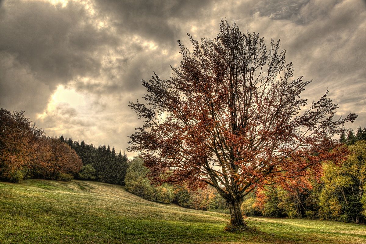 Pomeriggio d'autunno