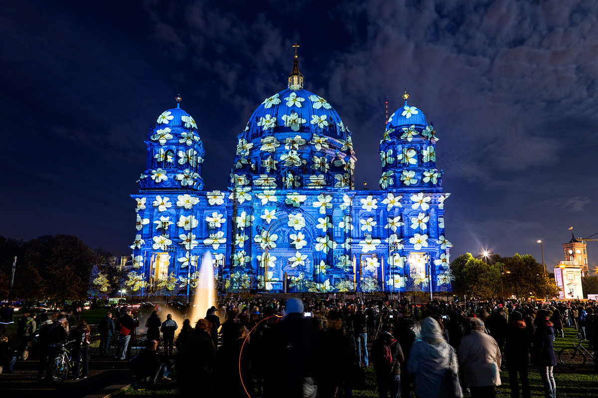 Festival of Lights 2013 - II