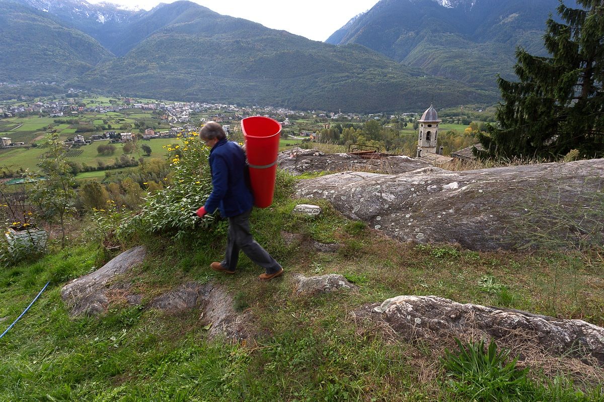 Return to the vineyard