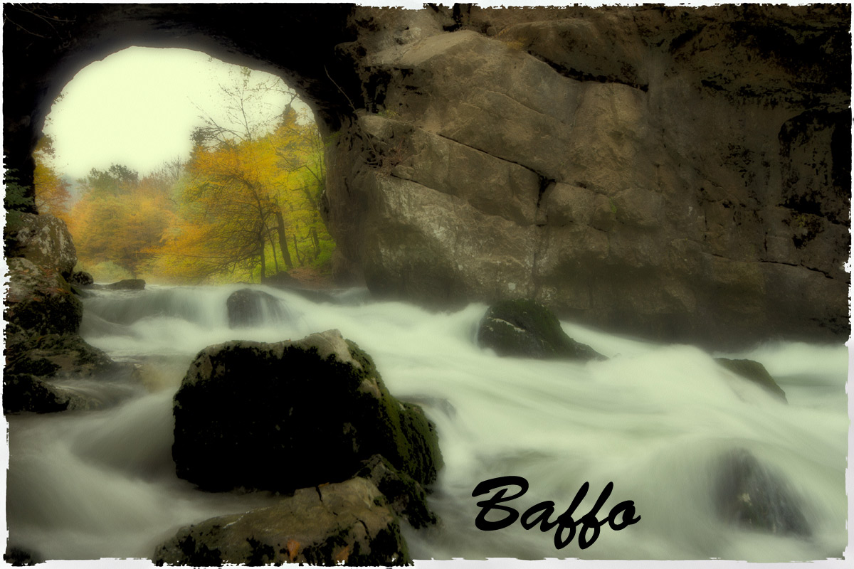 Autumn in the forest