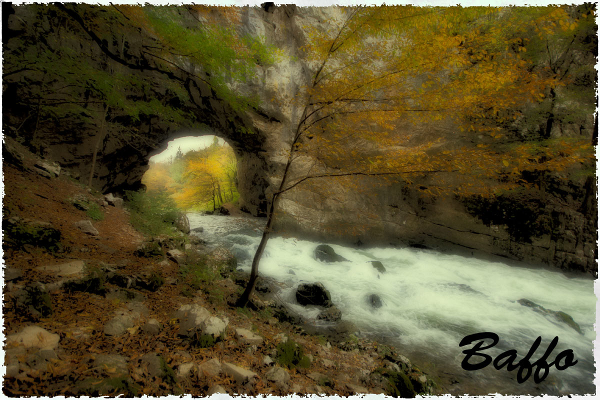 Autumn in the forest