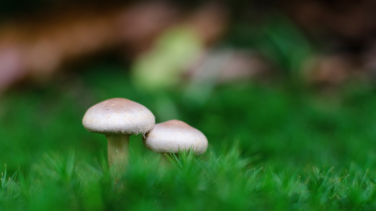 ...All you need is love...