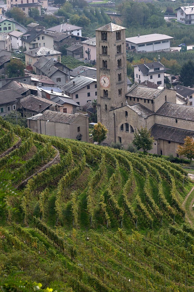 The church and its vineyards
