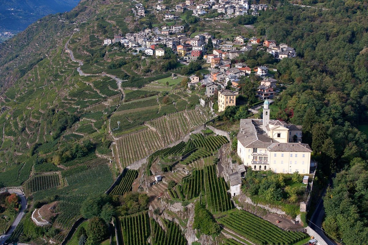 Helicopter over the vineyards