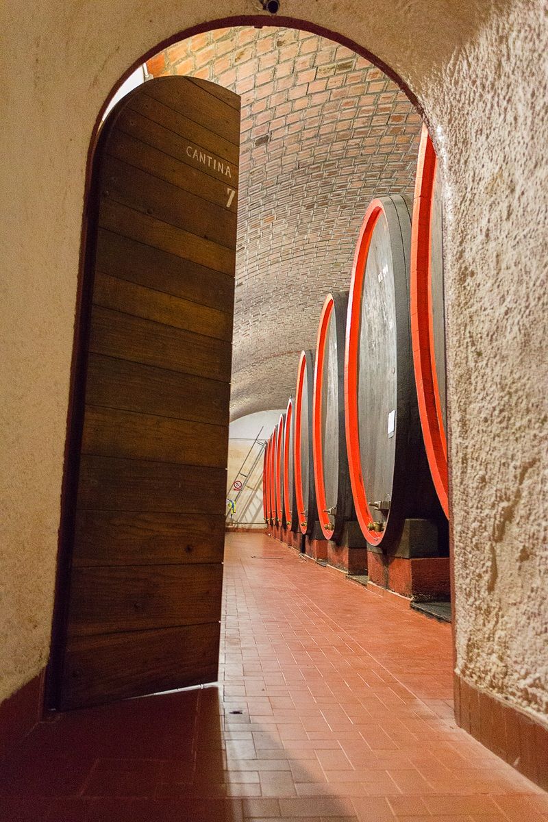 A look at the barrels