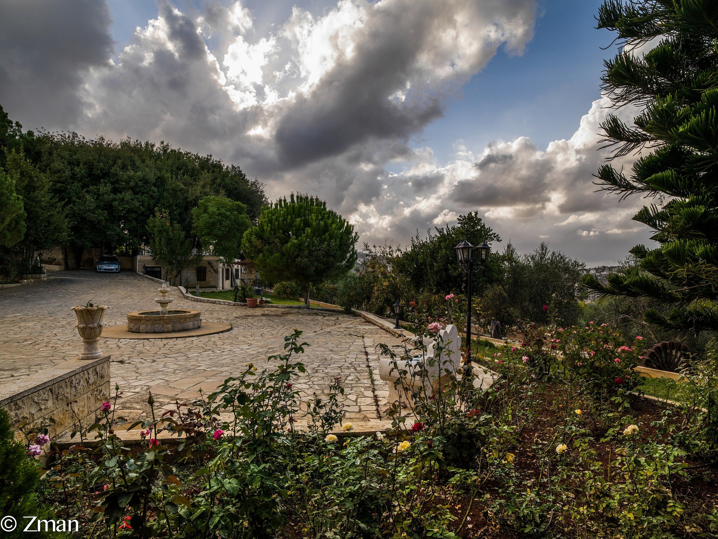 Le rose di fronte a casa nostra