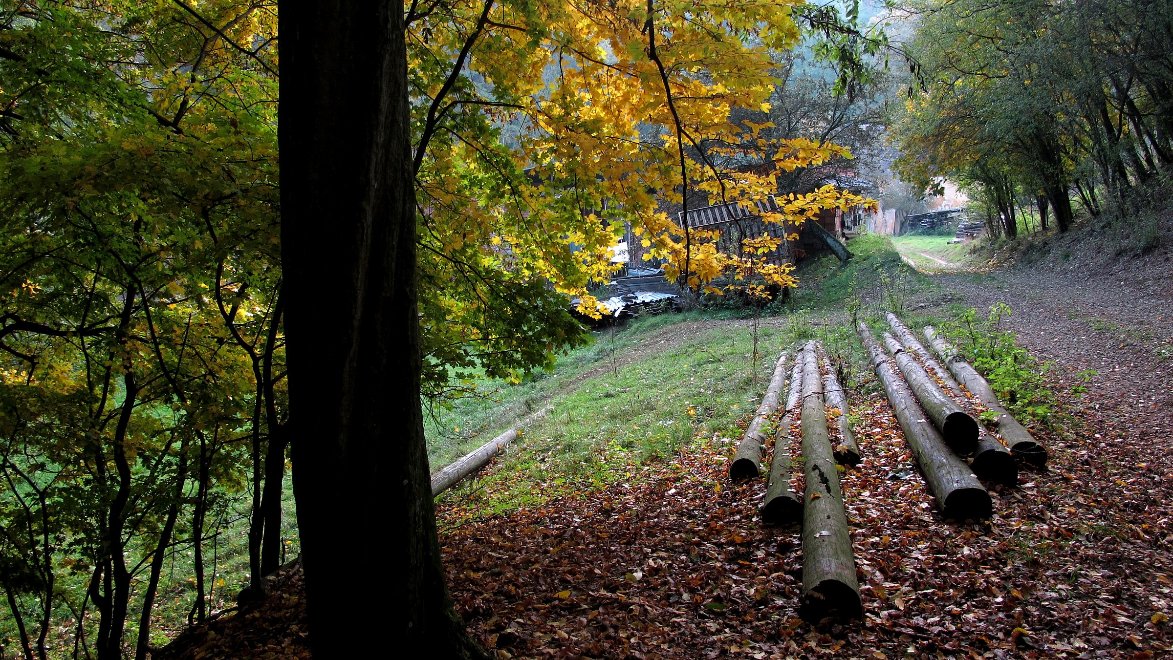 Vicino alla fattoria