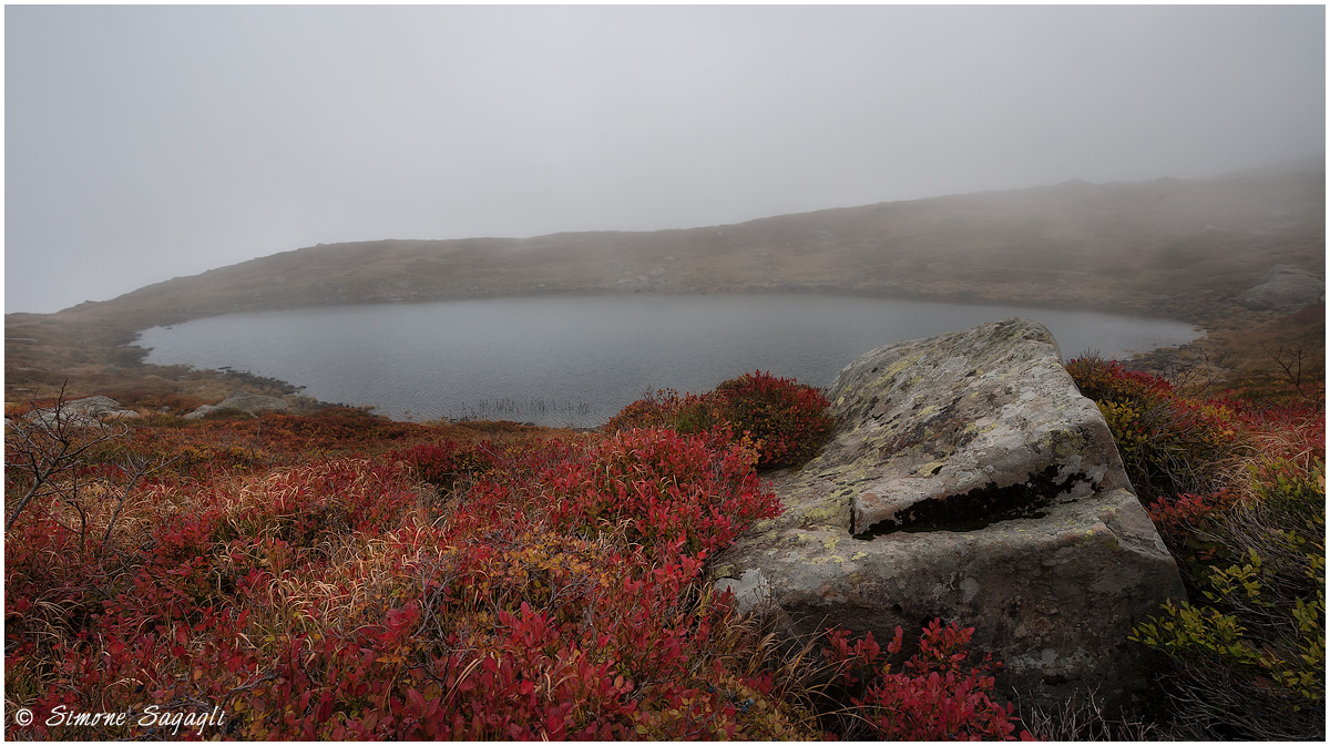 A little 'color in fog