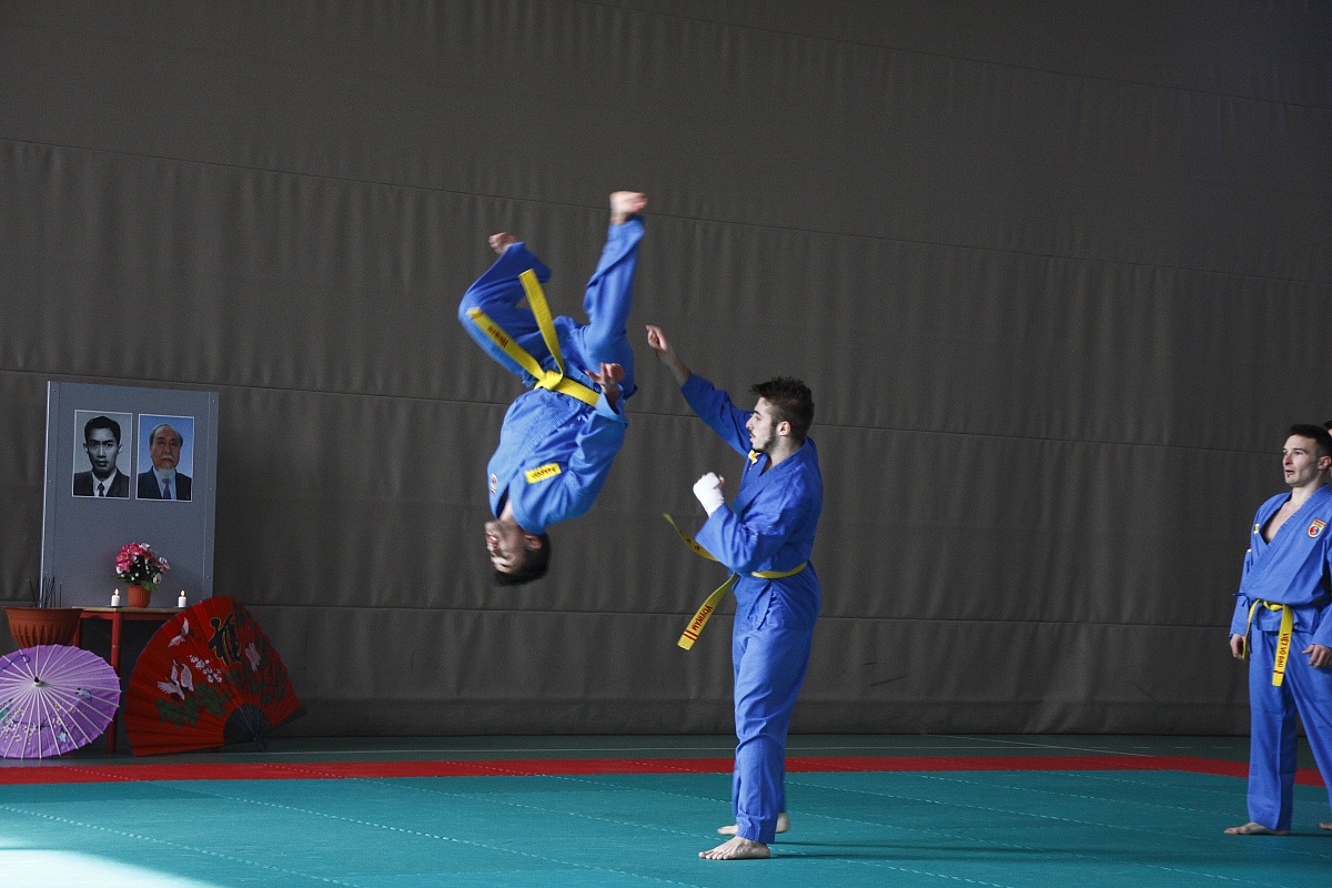 Vovinam Viet Vo Dao