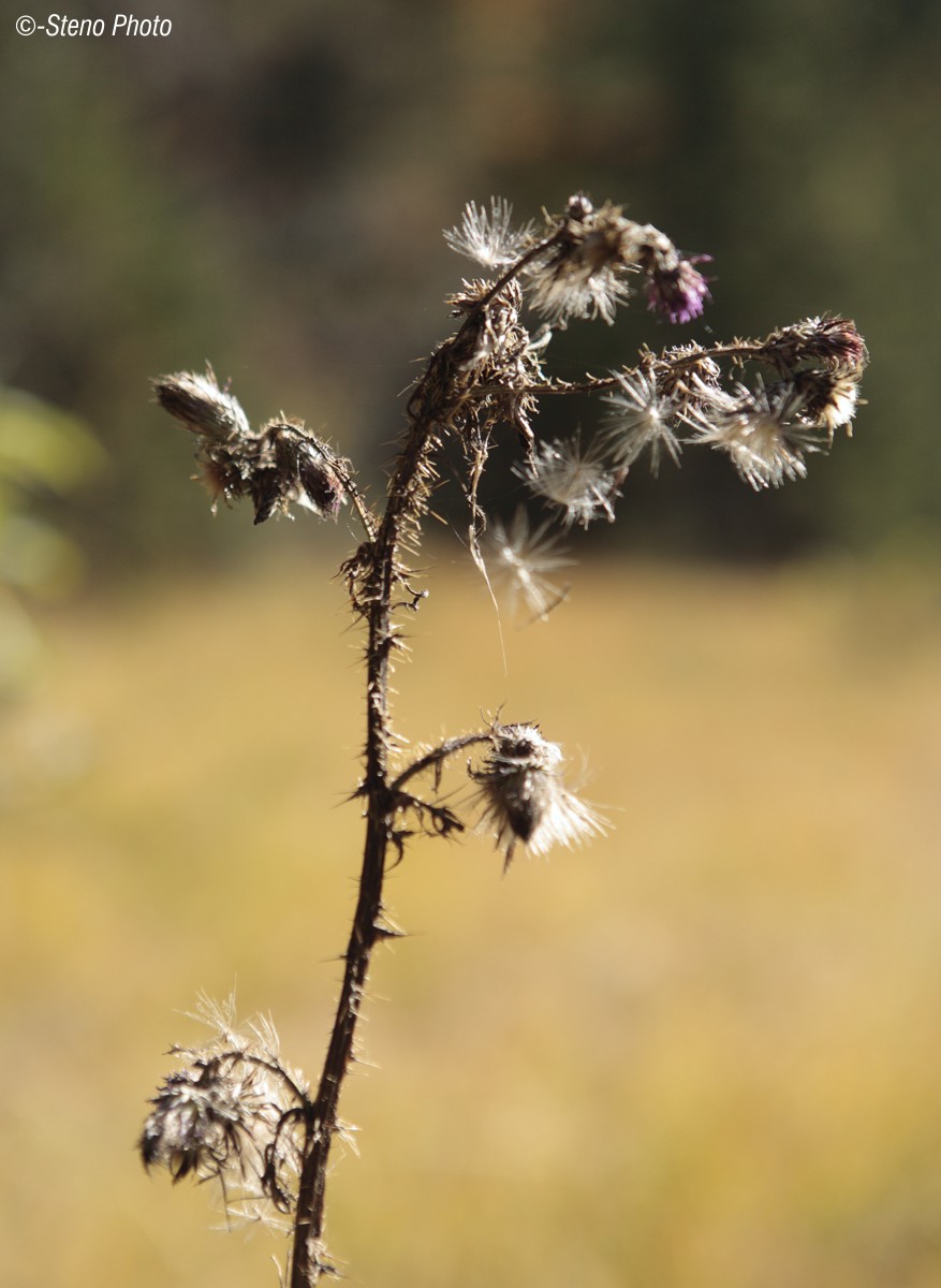 Here comes the cold season