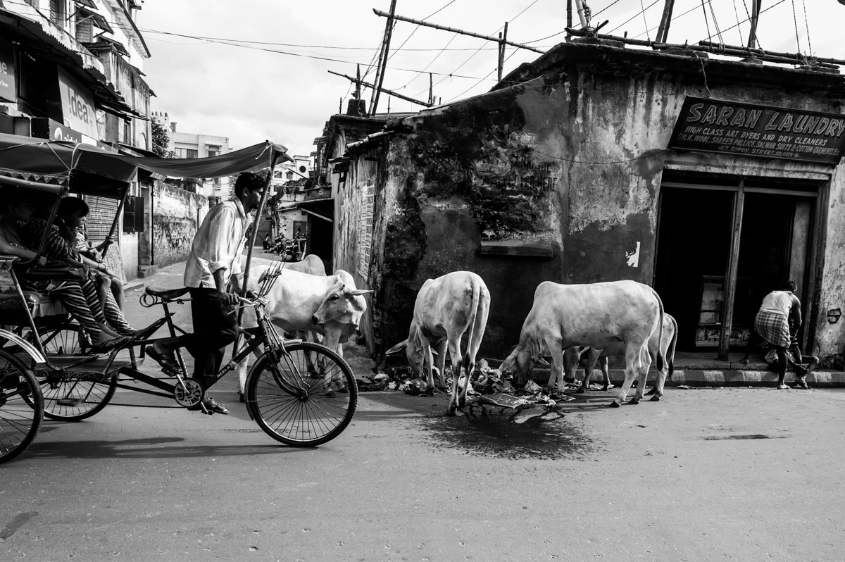 Streets of Calcutta