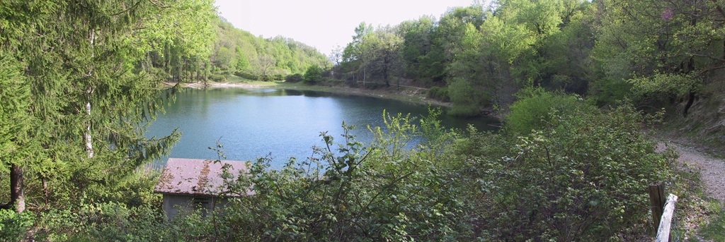 pond