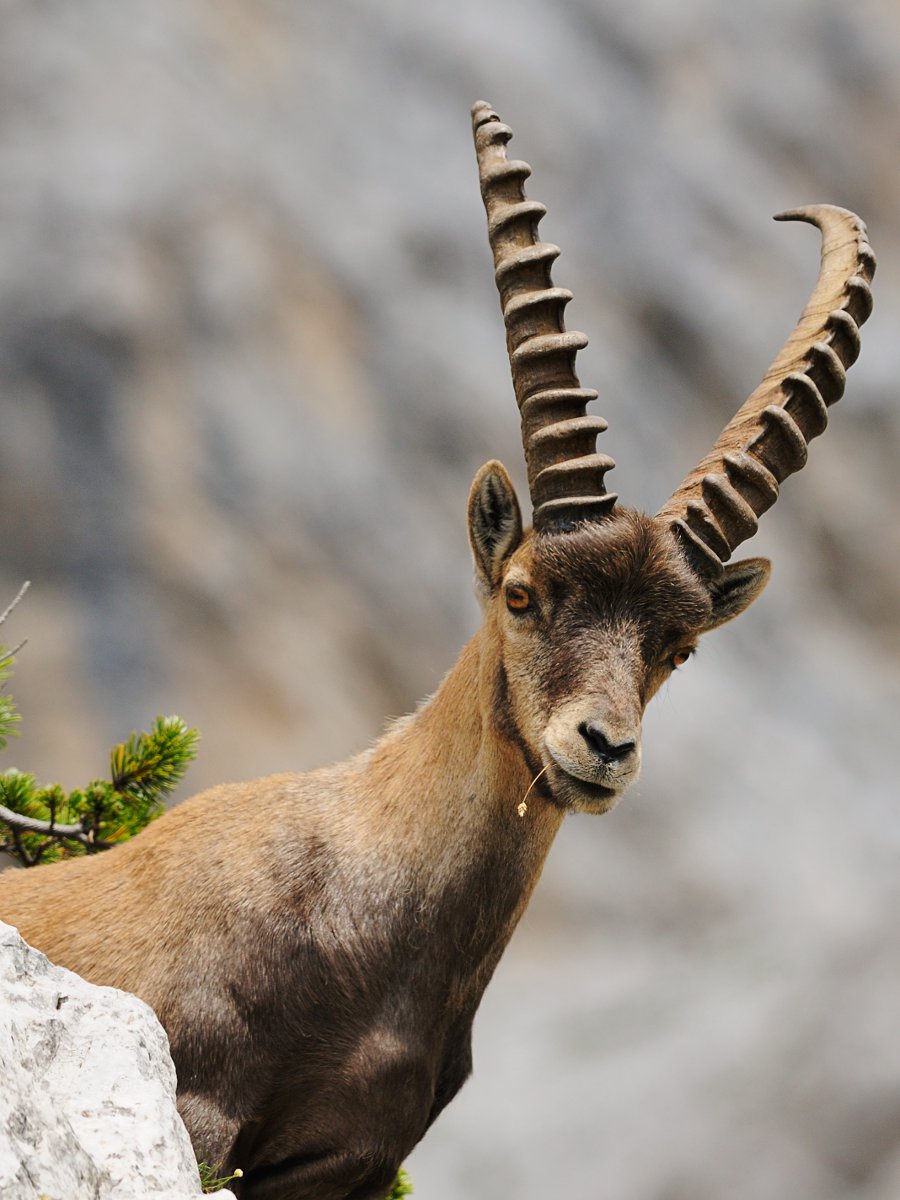 Ti guardo dall'alto....