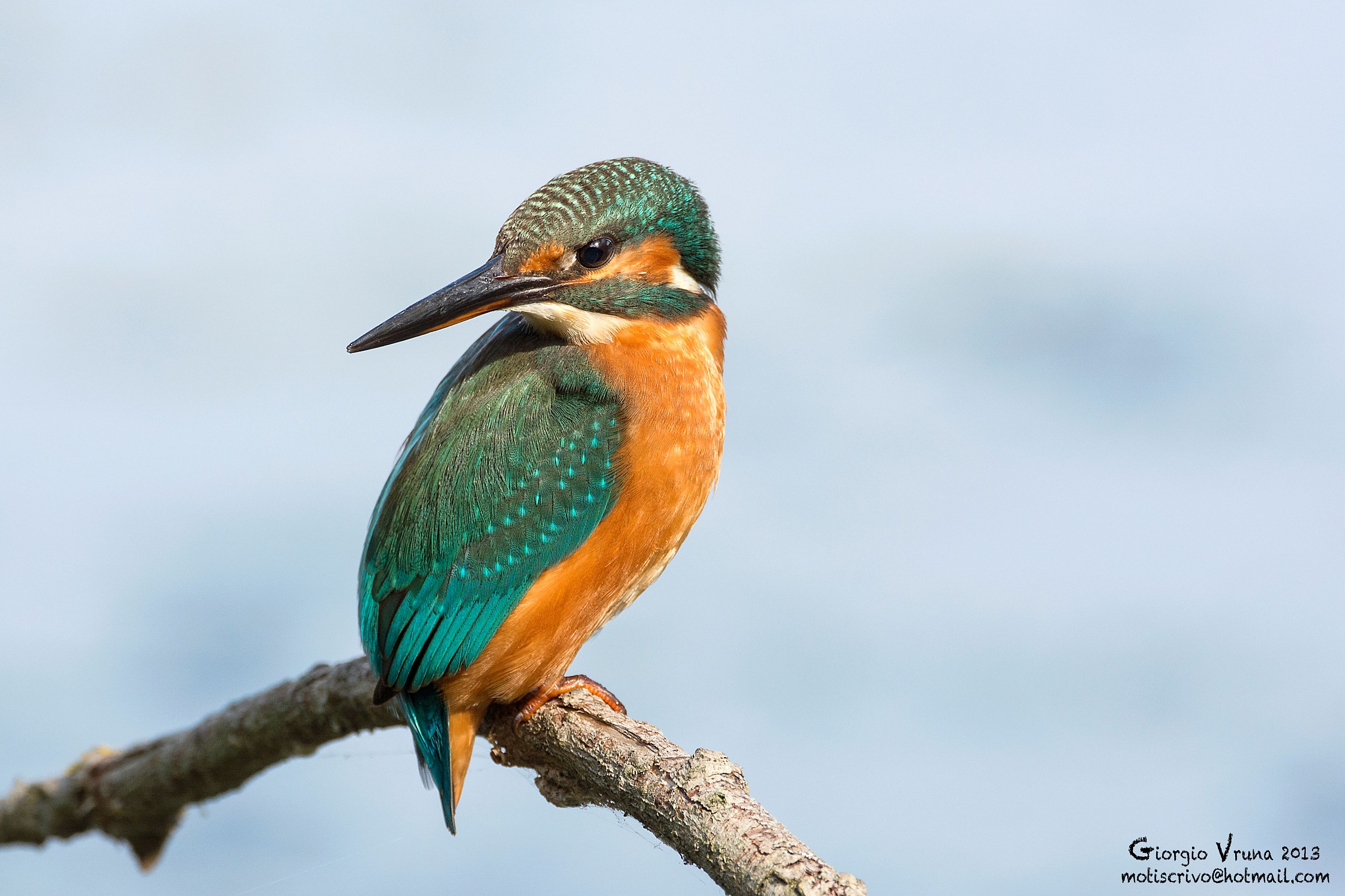 Avete una bustina per la cervicale??