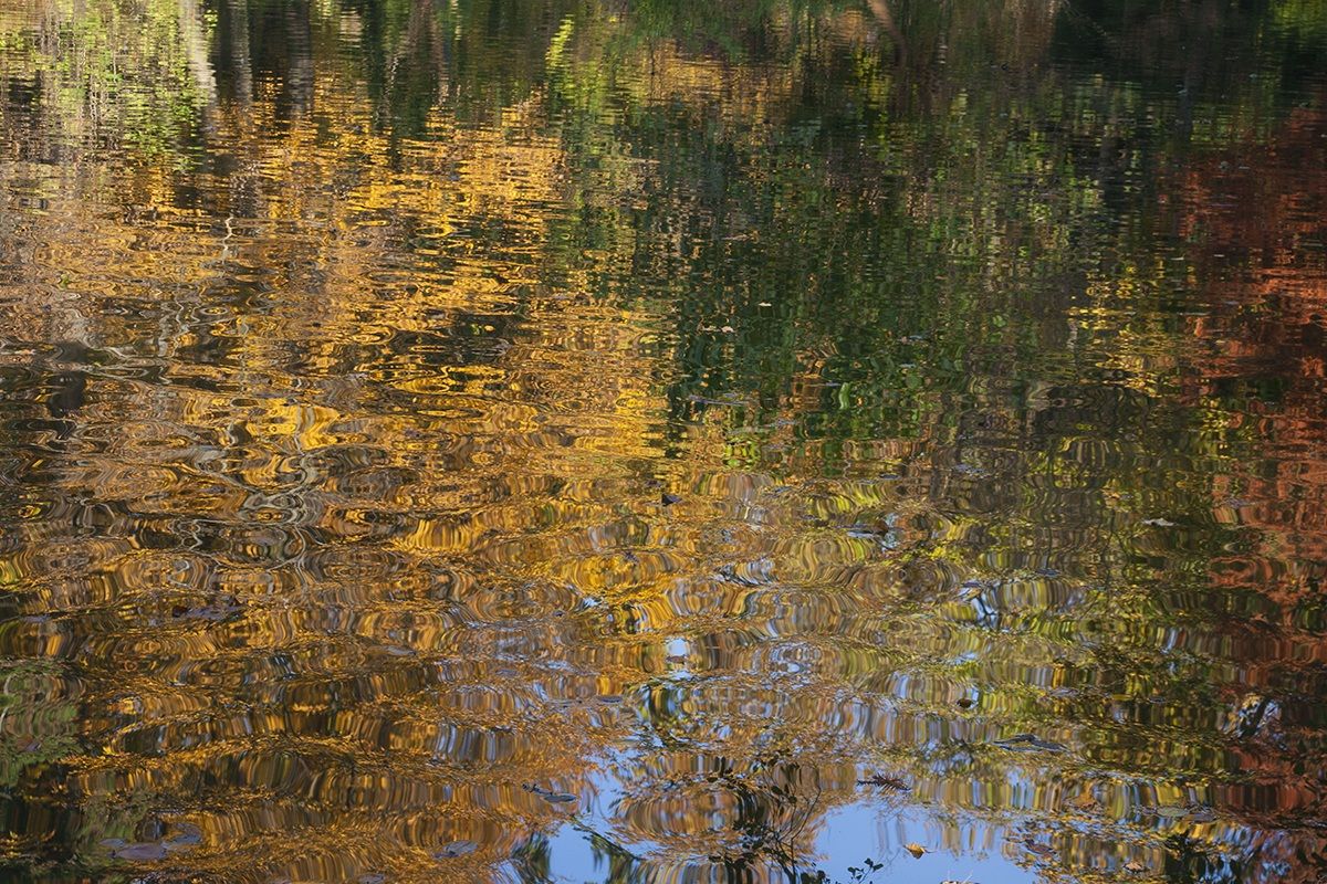 The colors of autumn